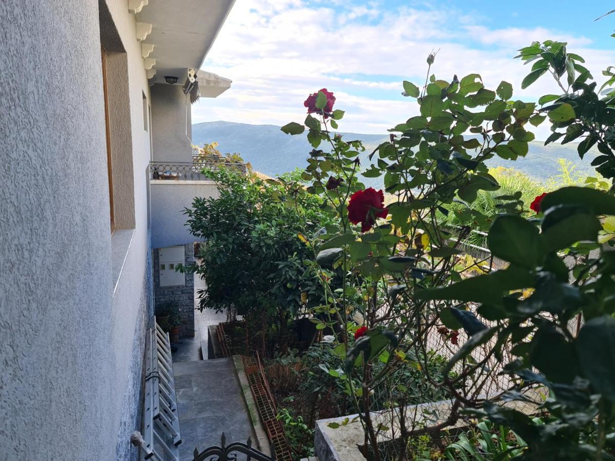 Deloik Ante's Hill House Gasthof Budva