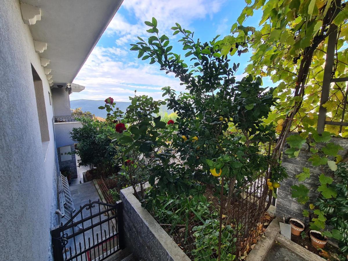 Deloik Ante's Hill House Budva